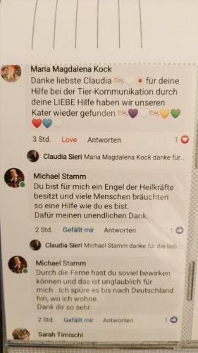 Toller Erfahrungsbericht